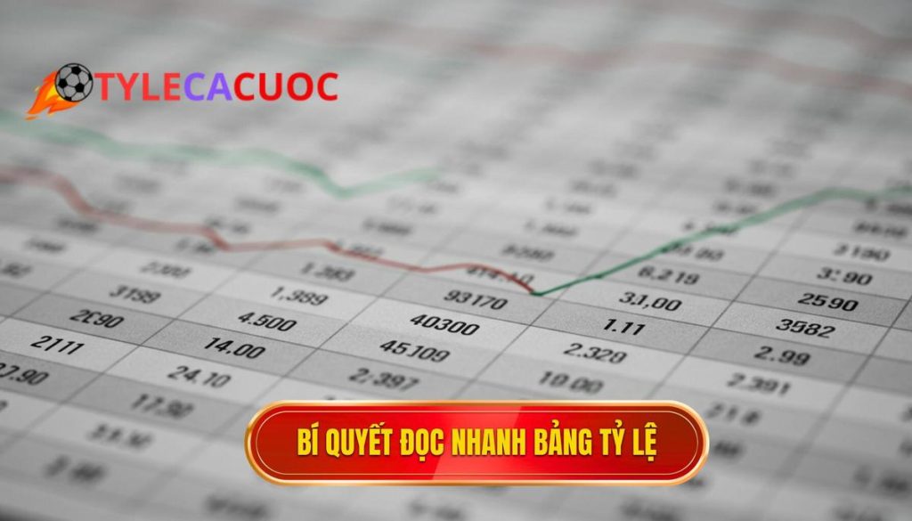 bí quyết đọc nhanh bảng tỷ lệ