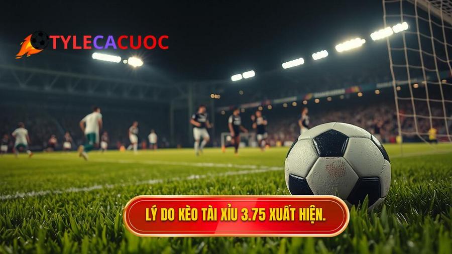 Tại sao kèo tài xỉu 3.75 hiệp 2 lại xuất hiện?