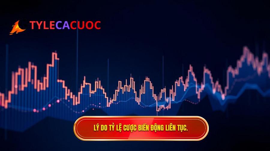 3. Lý do tỷ lệ cược biến động liên tục.