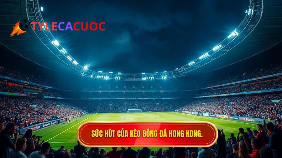 3. Sức hút của kèo bóng đá Hong Kong.